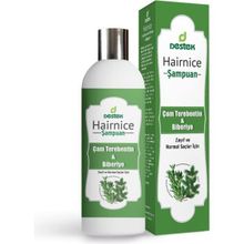 Hairnice Çam Terebentin Biberiye 330 ml Şampuan