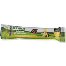 Hammm 28 gr Kalsiyum D Vitamin Bar