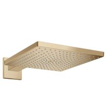 Hansgrohe 26250140 HG Raindance® 300 1 Jet Tavan Bağlantısı İle Mat Bronz E Tepe Duşu
