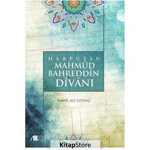 Harputlu Mahmud Bedreddin Divanı - Dr. Kamil Ali Gıynaş