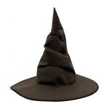 Harry Potter Seçmen Şapkası Çocuk Boy