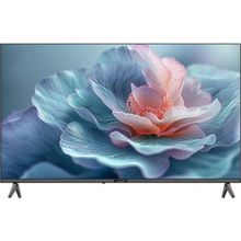 Hauzen 65TP5000 65 inç 165 Ekran 4K Ultra HD Whale OS QLED TV