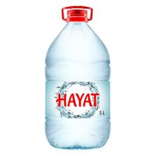 Hayat 5lt Su