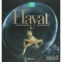 HAYAT - BÜLENT ÖZÜKAN