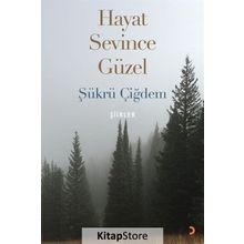 Hayat Sevince Güzel - Şükrü Çiğdem