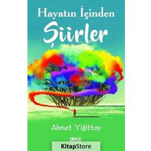 Hayatın İçinden Şiirler - Ahmet Yiğittop