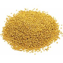 Hayfene 1 kg Sarı Hardal Tohumu