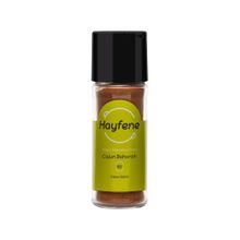 Hayfene 40 gr Kajun Baharatı