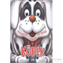Hayvanlar Aleminin En Sadığı Köpek - Yuva Yayınları Komisyon