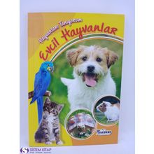 Hayvanları Tanıyorum - Evcil Hayvanlar - kollektif
