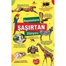 HAYVANLARIN ŞAŞIRTAN DÜNYASI - KOLEKTIF