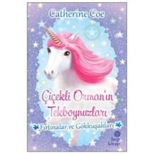Hep Kitap Fırtınalar ve Gökkuşakları Çiçekli Orman'ın Tekboynuzları