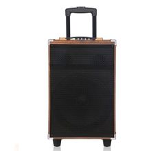 Hepu HP-904 12 inç Subwoofer Ahşap Kasa Şarjlı Bluetooth Hoparlör