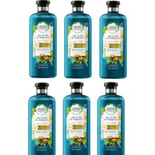 Herbal Essences Fas Argan Yağlı 6x400 ml Şampuan