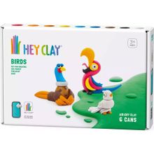 Hey Clay 6'lı Kutu Kuşlar Sülün Papağan Güvercin Hava ile Kuruyan Kil