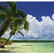 Heye Paradise 2000 Parça Puzzle