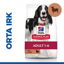 Hill's 14 kg Adult Kuzulu Ve Pirinçli Orta Irk Yetişkin Kuru Köpek Maması