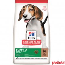 Hill's 14 kg Puppy Medium Healthy Development Kuzulu ve Pirinçli Orta Irk Yavru Köpek Maması