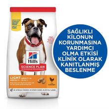Hill's 14 kg Tavuk Etli Light Orta Irk Yetişkin Köpek Maması