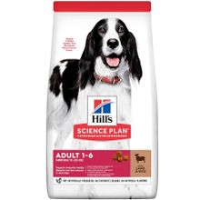 Hill's 2.5 kg Medium Advanced Fitness Kuzulu ve Pirinçli Orta Irk Yetişkin Köpek Maması