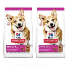 Hill's 2x1,5 kg Small Kuzu Etli Yetişkin Kuru Köpek Maması