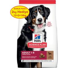 Hill's Büyük Irk Kuzu Etli Yetişkin 12+2 KG Köpek Maması