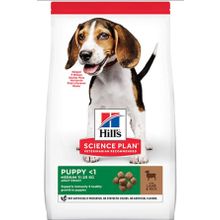 Hill's Kuzu Etli 2,5 kg Orta Irk Yavru Köpek Maması