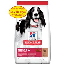 Hill's Kuzu Etli Orta Irk Yetişkin 12+2 kg Köpek Maması