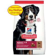 Hills Science Plan 12 kg +2 kg Hediyeli Büyük Irk Kuzu Etli Yetişkin Köpek Maması