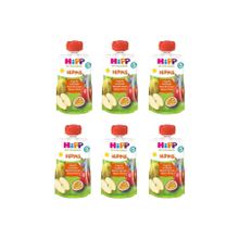 Hipp Organik Çarkıfelek Meyveli 6x100 gr Karışık Meyve Püresi