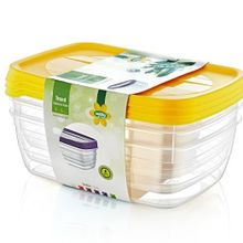 Hobby Life 21017 3'lü Trend 2 lt Saklama Kabı