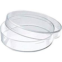 Hobs Lab 90 mm 28 Adet Plastik Petri Kabı