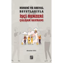 Hukuki ve Sosyal Boyutlarıyla İşçi Benzeri Çalışan Kavramı - Abdullah Erol
