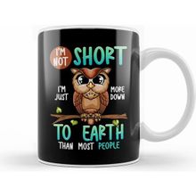 Humuts Funny I M not Short I M Just Down to Earth Owl Pun Beyaz Kupa