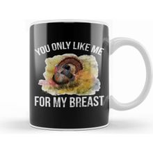 Humuts Funny Thanks Giving You Only Like Me For My Breast Kupa Bardak