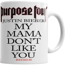 Humuts Purpose Tour Justın Bıeber Kupa