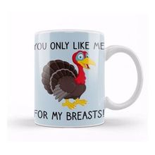 Humuts You Only Like Me For My Breasts Funny Thanksgiving Kupa
