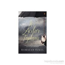İç Acılar Toplamı - Ramazan Özkul