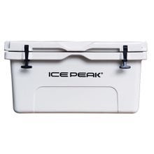 Icepeak Aden 65 lt Buzluk