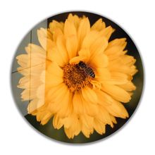 İdeal Glass Art İdealizbiz Çiçek Yuvarlak 4 mm Dayanıklı Temperli Cam Tablo