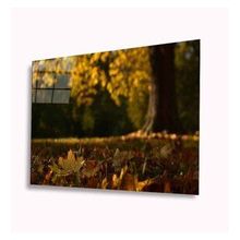 İdeal Glass Art Sonbahar 4 mm Dayanıklı Temperli Cam Tablo