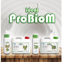 Ideal Probiom Liquid 1 lt Beslenme Ürünü