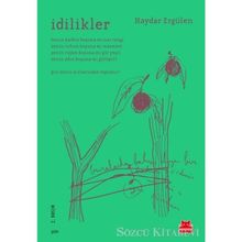 İdilikler - Haydar Ergülen