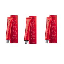 Igora Royal 5-4 3x Açık Kahve-Bej Saç Boyası