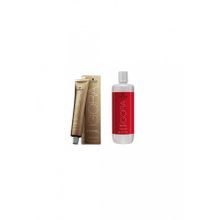 Igora Royal Absolutes 6-60 Koyu Kumral 4 Adet Saç Boyası+ 1 lt Oksidan