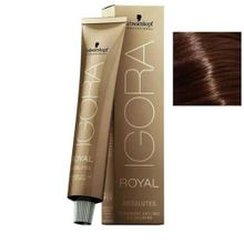 Igora Royal Absolutes 6-60 Koyu Kumral Çikolata 2 Adet Saç Boyası