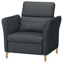 IKEA Fammarp Tallmyra Siyah-Gri Tekli Koltuk
