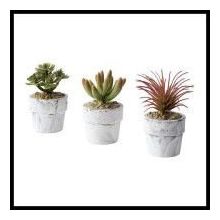 IKEA Fejka 6 cm 3 adet Saksılı Yapay Bitki