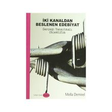 İki Kanaldan Beslenen Edebiyat - Molla Demirel
