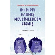 İki Kirpi Varmış Mevsimlerden Kışmış - Amine Ceylan